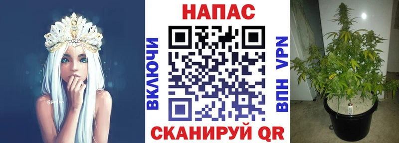 нарко площадка клад  Южа  Каннабис White Widow 